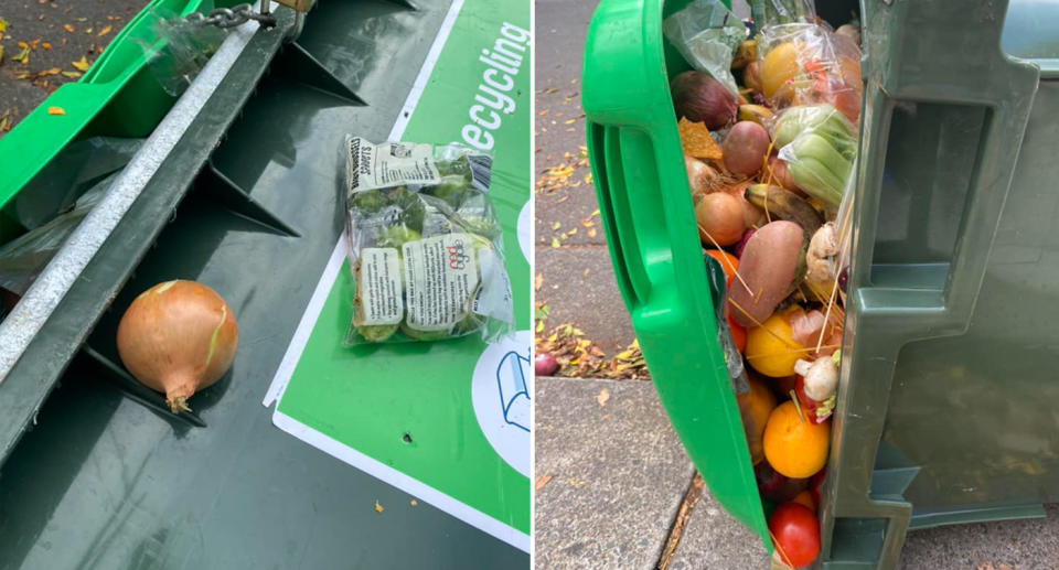 Left: An onion and a packet of broccoli sprouts on the fallen green bin. Right: The produce, some still wrapped in plastic, sticking out of the fallen Coles wheelie bin. 