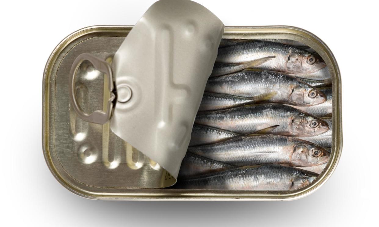 <span>‘Pasta con le sarde? A tin of sardines in oil makes that a store-cupboard staple.’</span><span>Photograph: Getty</span>