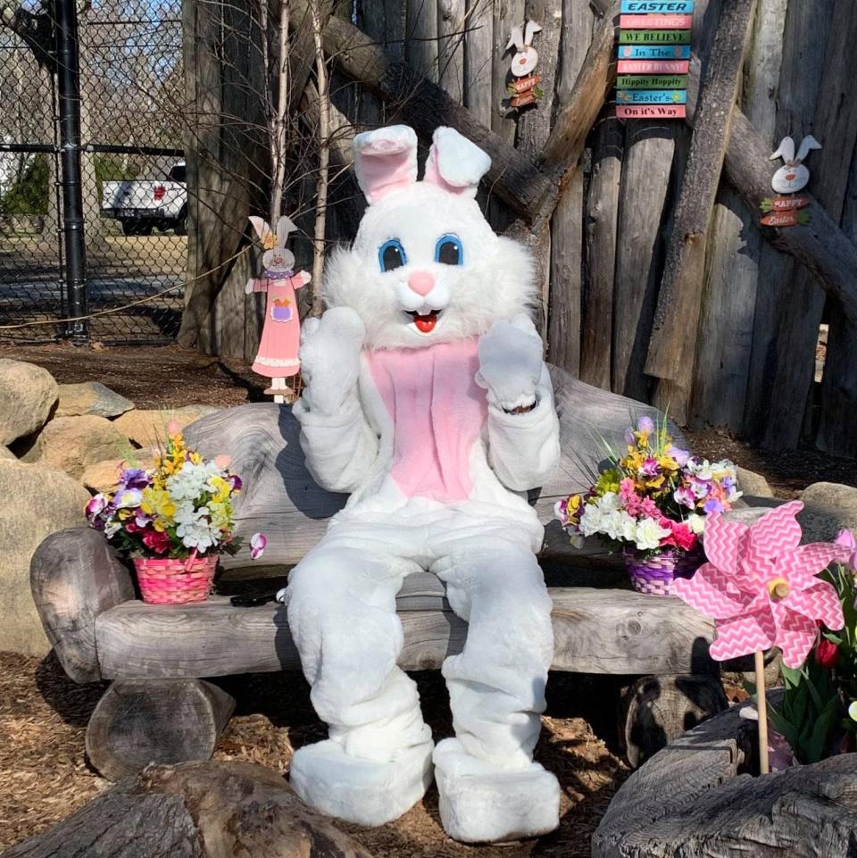 Easter Bunny at Buttonwood Park Zoo.