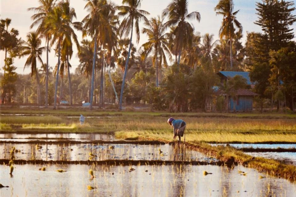 Sumba, East Nusa Tenggara, Indonesia