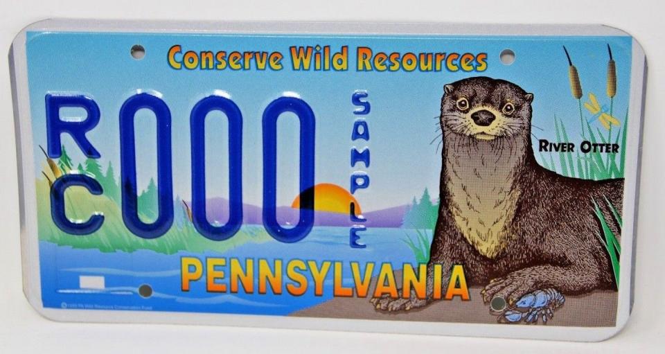 Pennsylvania River Otter