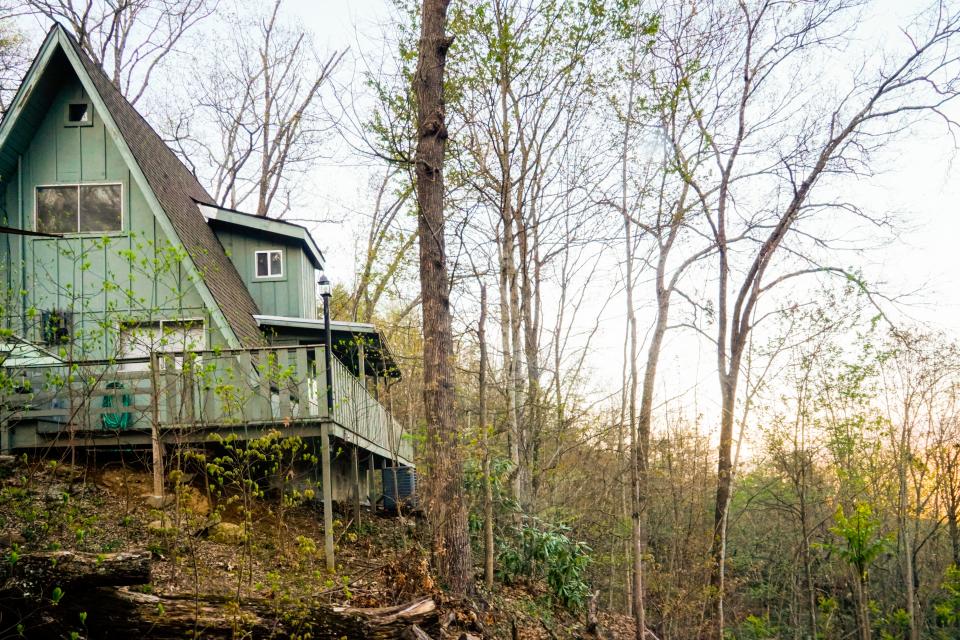 A green cabin on the left with trees on the right