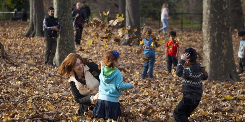 leaves autumn family