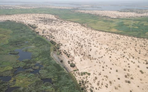 The Great Green Wall is a project spanning 8,000km of Africa from coast to coast encompassing 20 countries - Credit: Simon Townsley/The Telegraph