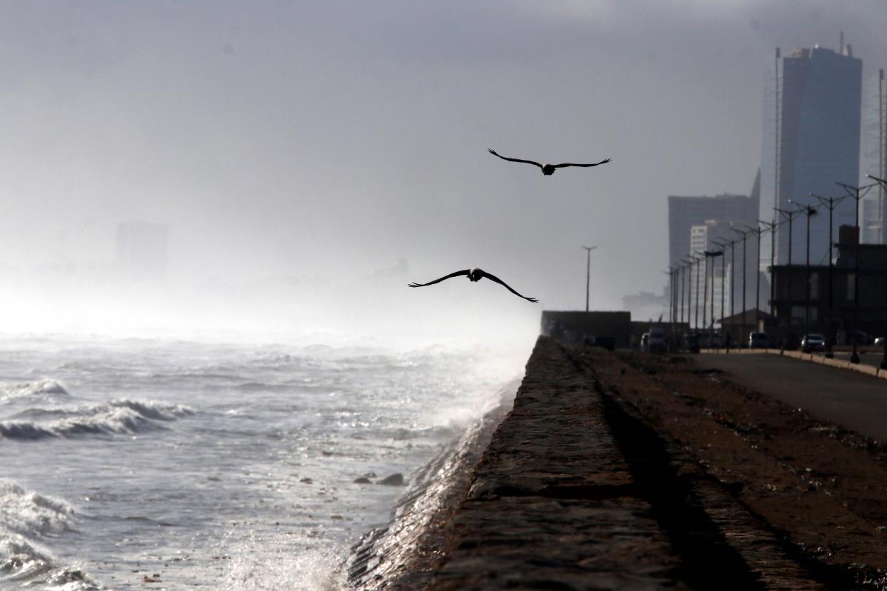 Birds fly amid high tides and heavy winds ahead of cyclone Biparjoy, in Karachi, Pakistan (EPA)