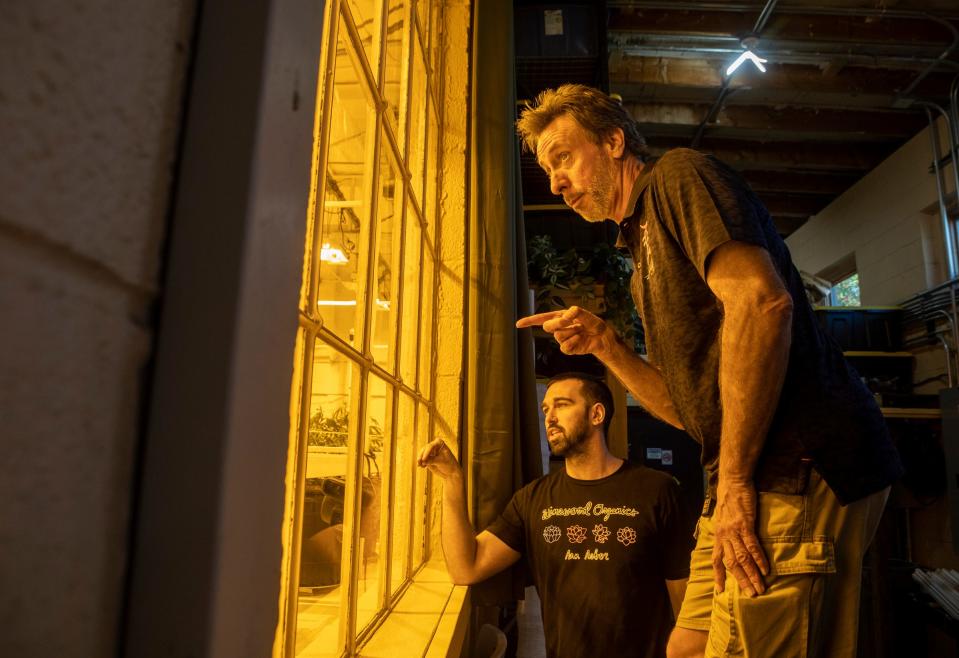 Jim Weyman, left, points inside one of the grow rooms at Winewood Organics during a cannabis tour given by the company's founder, Eric Pankhurst, in Ann Arbor on Saturday, Sept. 30, 2023. Weyman has been a customer of Winewood Organics for a year and a half now.