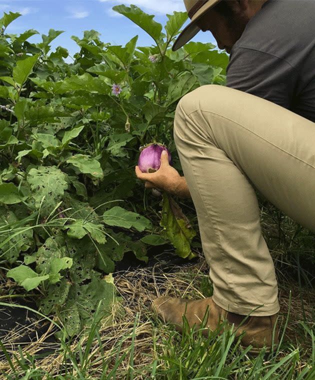 The Top 500 capture new trends like kitchen gardening. Photo: Instagram