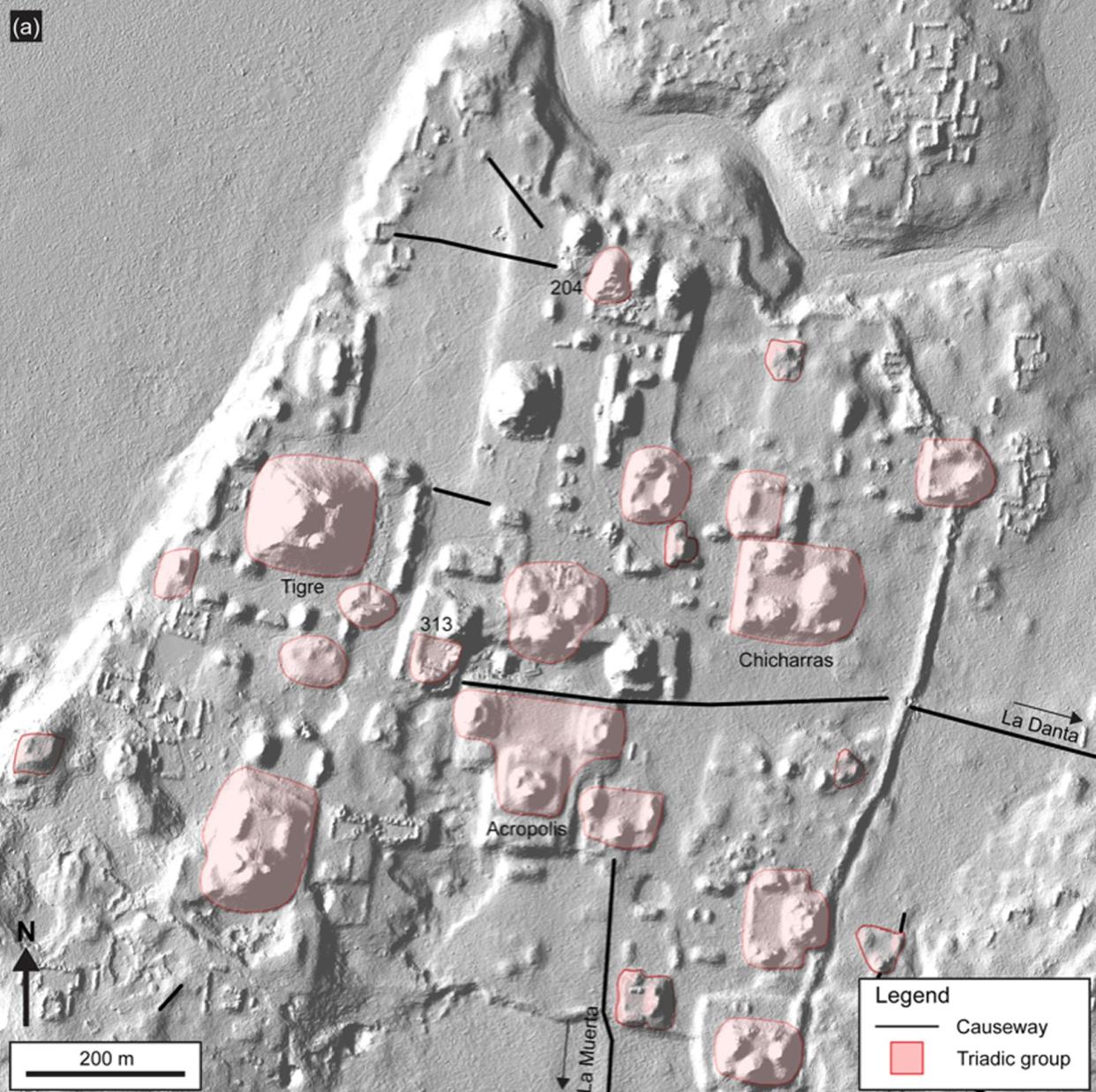 Captura mediante LiDAR que muestra estructuras en el centro cívico de El Mirador (la pirámide de Tigre es la más grande en esta sección de la ciudad) | R. Hansen, et al. Ancient Mesoamerica