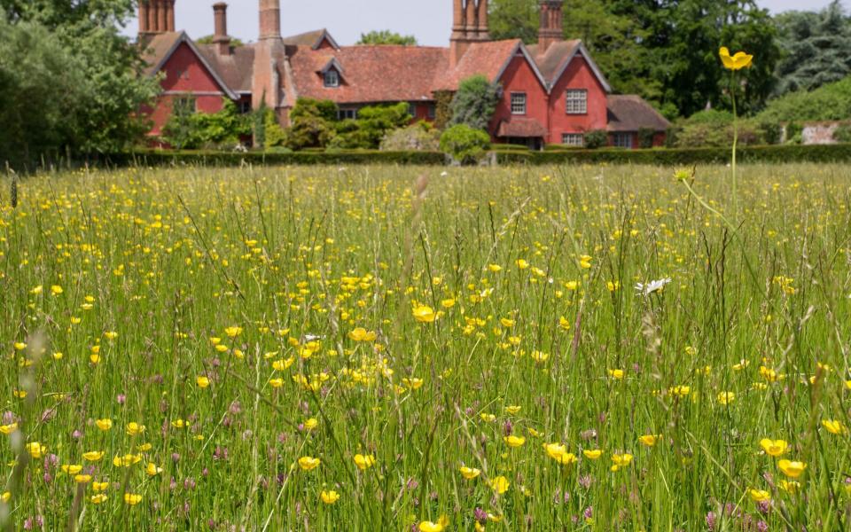 Meadow Wyken Hall wine best gardens visit summer - Tony Buckingham