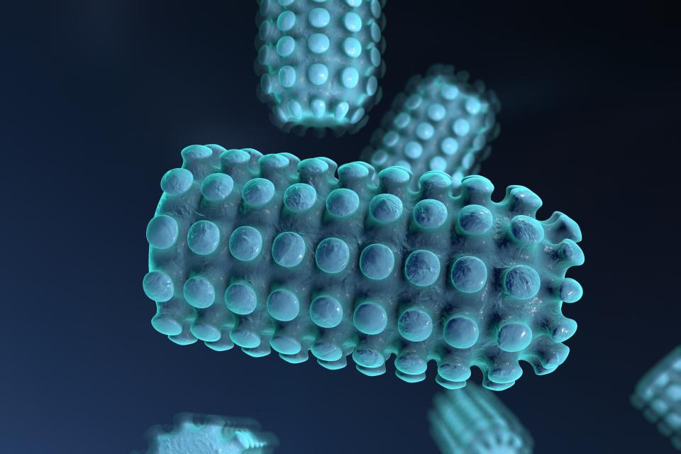 Rabies virus, 3D illustration. Virus which causes rabies