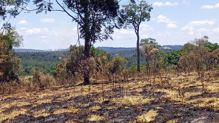 En Misiones, los productores atraviesan una gran sequía que afecta sus cultivos