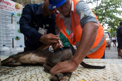 Neither culling nor removing dogs is a very effective way of tackling rabies -- the World Health Organisation (WHO) advocates for mass vaccination