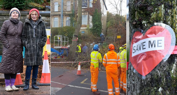 Two women in their 70s were arrested after trying to block the felling of the trees.
