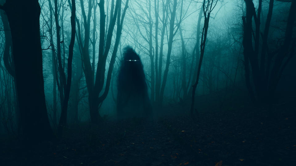 Silhouette of a mysterious figure standing in a foggy forest