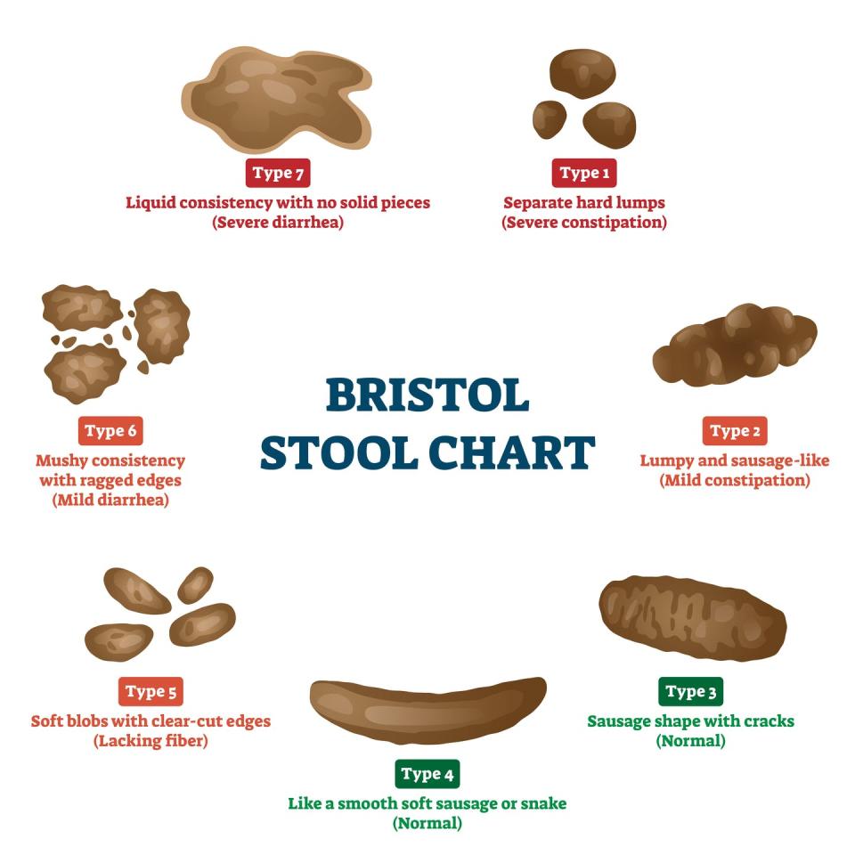 Illustration of the seven categories of poop, ranging from overly firm to liquid.