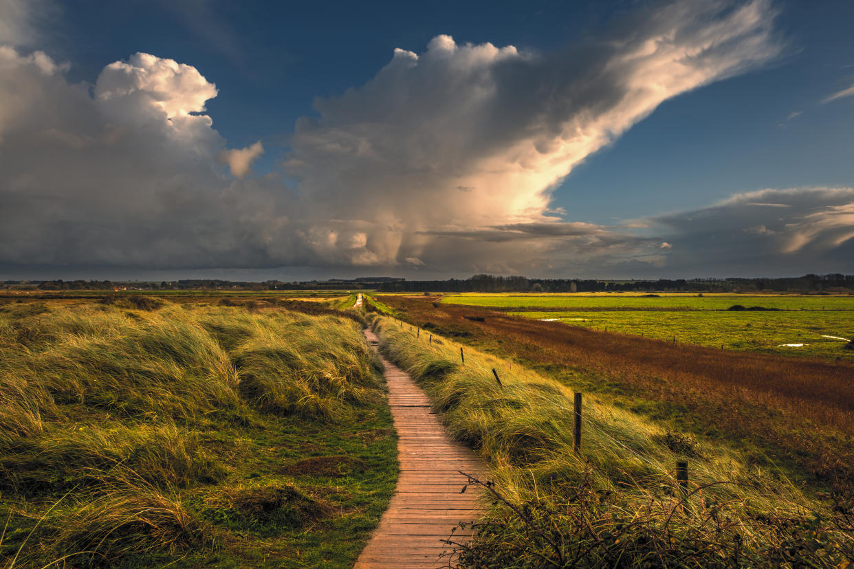 View along a sea bank path on the Norfolk coast. (Photo by: Bill Allsopp/Loop Images/Universal Images Group via Getty Images)