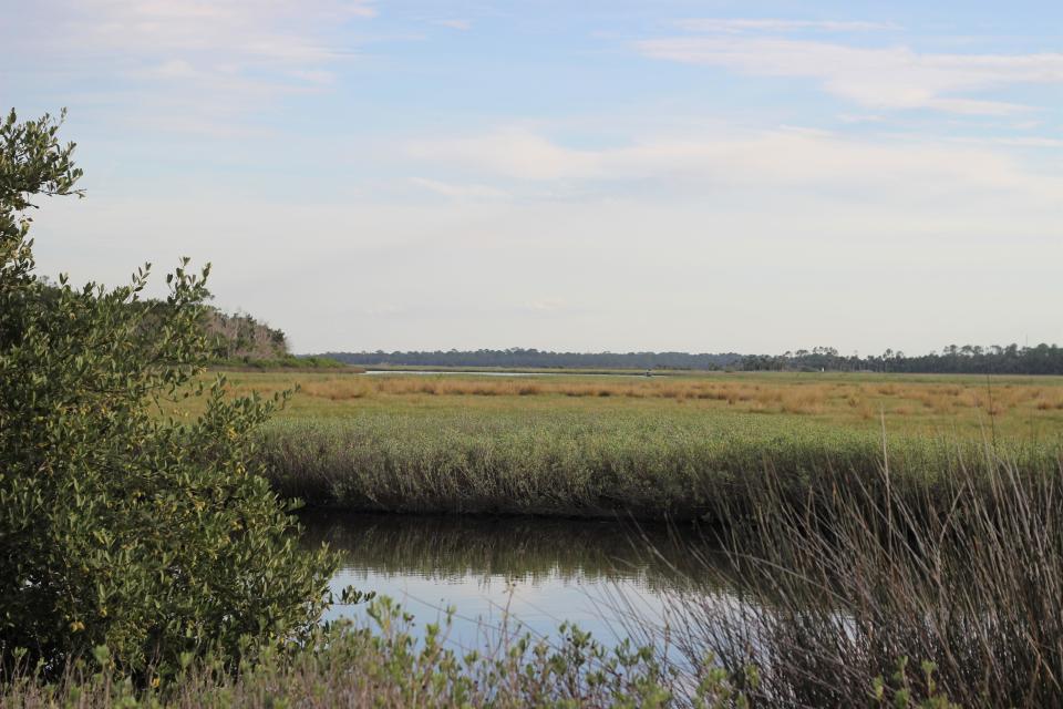 Salt marshes near Tomoka State Park as seen from Old Dixie Highway on the Ormond Scenic Loop and Trail.