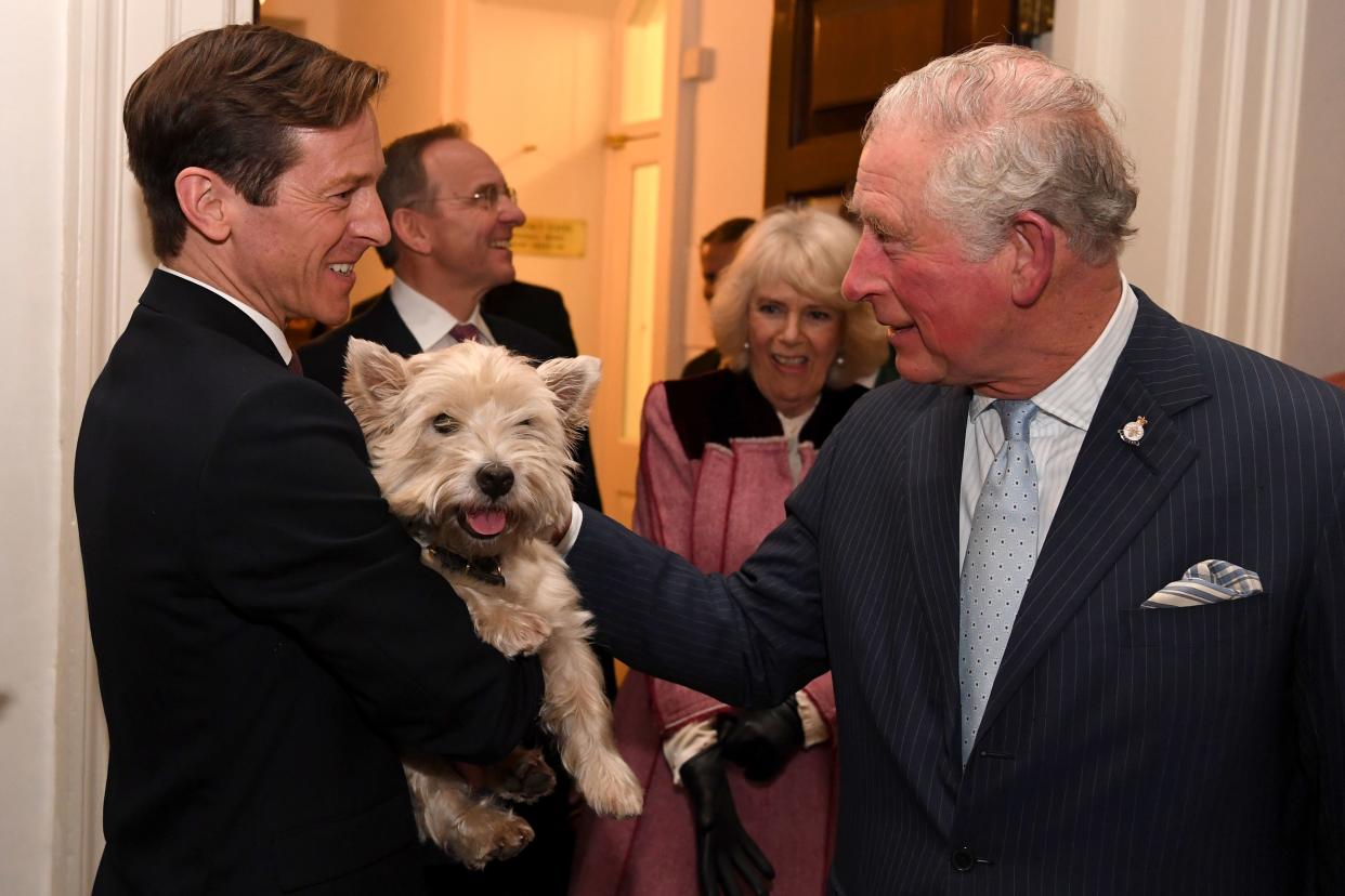 Britain's Prince Charles, Prince of Wales and Britain's Camilla, Duchess of Cornwall meet Monty the dog during a tour of the Cabinet Office in central London on February 13, 2020. - Their Royal Highnesses toured the Cabinet Office building to recognise the work it undertakes on behalf of the government. The Cabinet Office supports the Prime Minister and ensure the effective running of government. It is also the corporate headquarters for government, in partnership with HM Treasury, and takes the lead in certain critical policy areas. (Photo by DANIEL LEAL-OLIVAS / various sources / AFP) (Photo by DANIEL LEAL-OLIVAS/AFP via Getty Images)