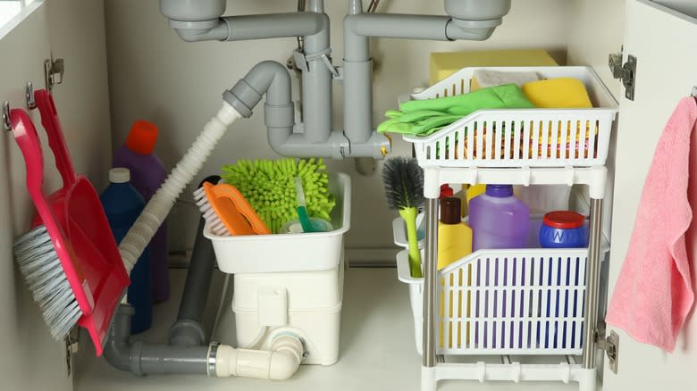 Cleaning supplies under kitchen sink