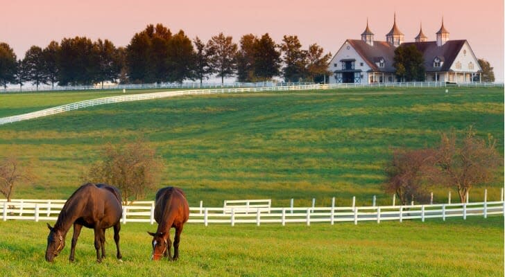 Horses on a farm