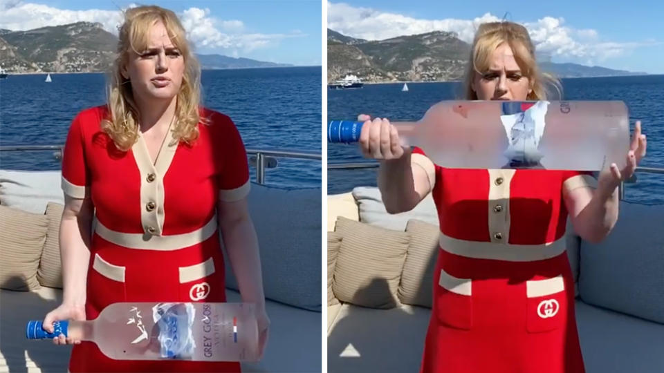 rebel wilson vodka arm workout