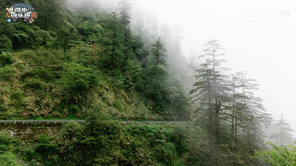 進入檜谷時能感受到宛若仙氣般的雲霧繚繞。