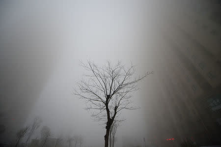 Buildings are seen in heavy smog during a polluted day in Jinan, Shandong province, China. REUTERS/Stringer