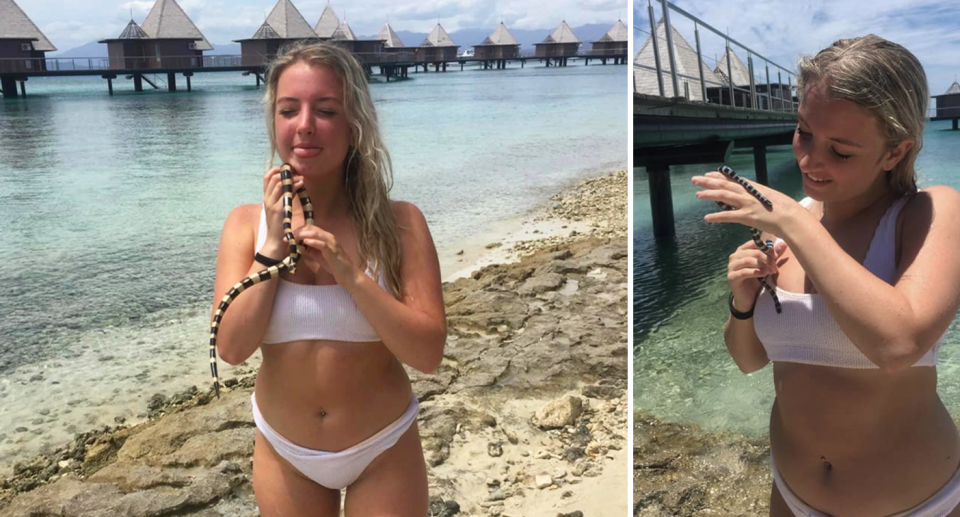 Left, Suzanne Parrish stands in a white bikini on the beach sticking out her tongue with the sea krait help in front of her. Right, she hold another venomous creature 'playing with death'.