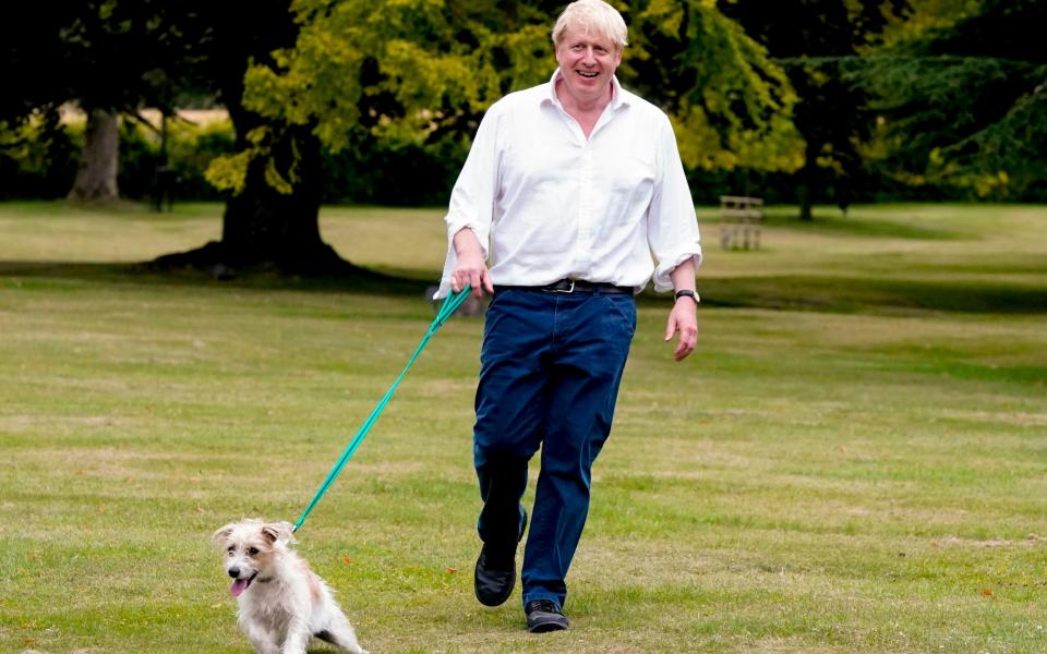 Boris Johnson and Dilyn - Andrew Parsons / No10 Downing Street