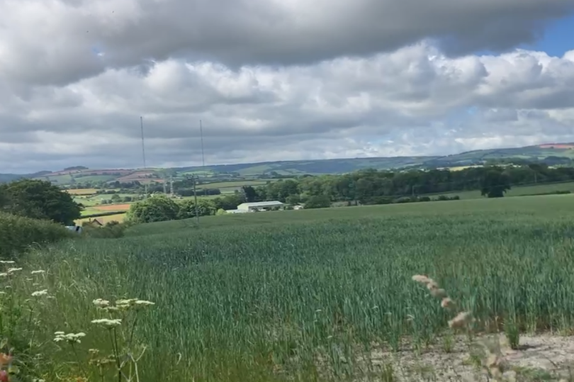 The Washford solar farm site