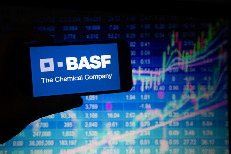 BASF (Photo by Alexander Pohl/NurPhoto)