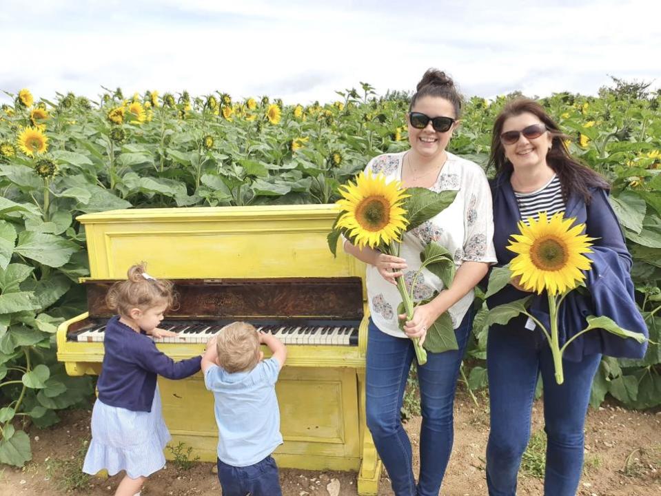 York Press: William's Den is also known for its Summer sunflowers 