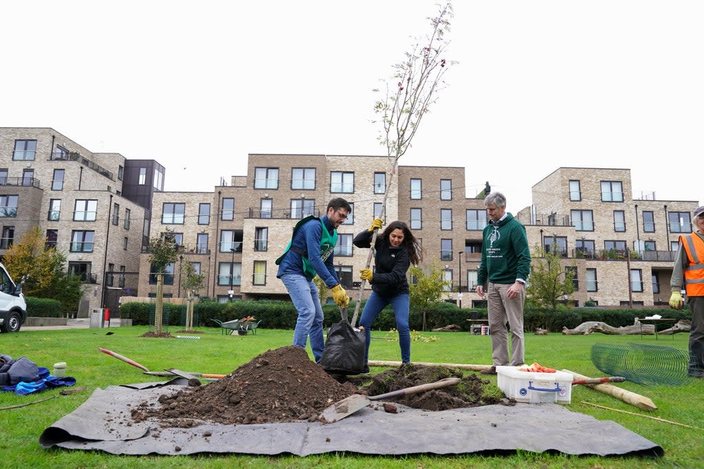 Volunteers help plant a tree at Furze Green in Tower Hamlets (Kirsty O’Connor/PA) (PA Wire)