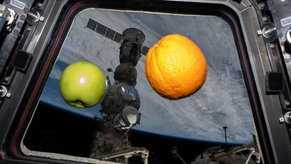 ein Apfel und eine Orange, die vor einem Fenster im Weltraum schweben. Wir sehen hinter einem angedockten Raumschiff und der Erde