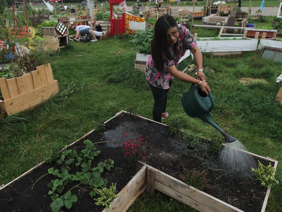 gardening