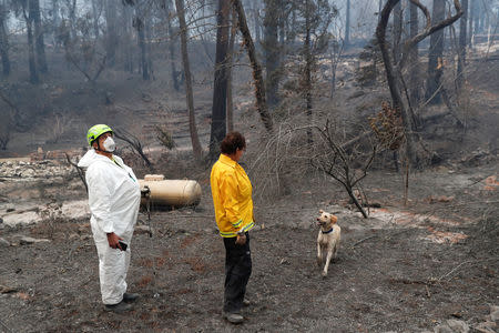 Karen and Larry Atkinson, of Marin, search for human remains with their cadaver dog, Echo, in a neighborhood destroyed by the Camp Fire in Paradise, California, U.S., November 14, 2018. REUTERS/Terray Sylvester