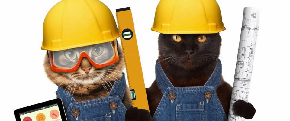 Funny cats are wearing a suit of builder and holding a builder's level and project plan. Craftsman on the white background.