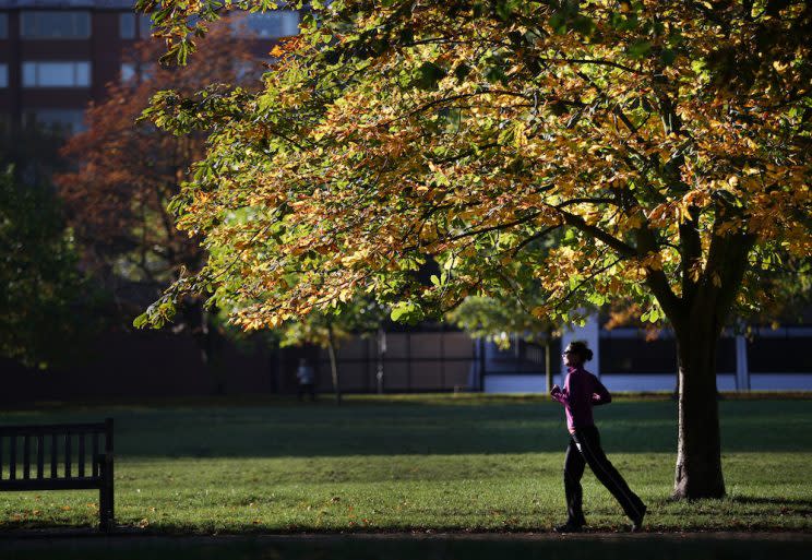 A man who preyed on lone female runners has been banned from approaching women for life.