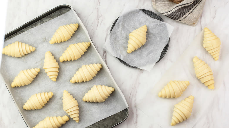 Raw crescent rolls on parchment paper