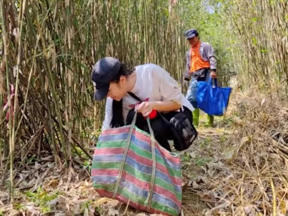 瑞穗箭筍上市，鄉公所舉辦推廣活動。（圖：瑞穗鄉公所提供）