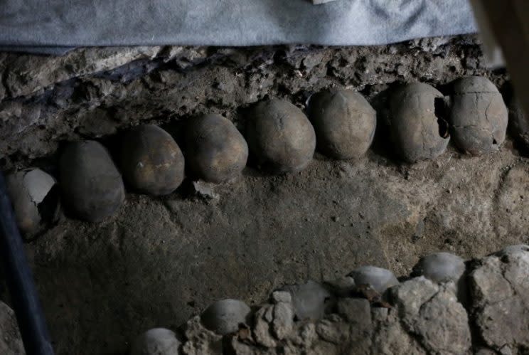 Archaeologists found more than 650 skulls caked in lime at the site (Reuters)