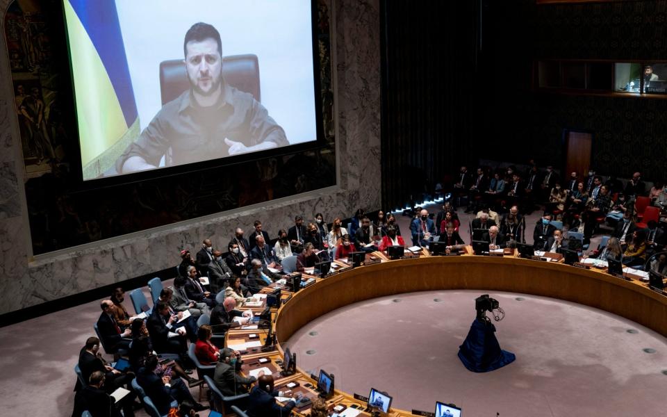 Ukrainian President Volodymyr Zelenskyy speaks via remote feed during a meeting of the UN Security Council,  -  John Minchillo/ AP