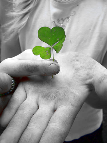 St. Patrick Used Three-Leaf Clovers to Explain the Trinity to the Pagans