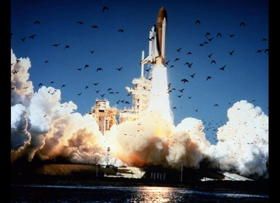 The space shuttle Challenger lifts off Pad 39B at Kennedy Space Center, Florida, at 11:38 a.m., EST, on January 28, 1986. (<a href="http://www.boston.com/bigpicture/2011/01/challenger_disaster_25_years_l.html" target="_hplink">Via the Big Picture</a>)