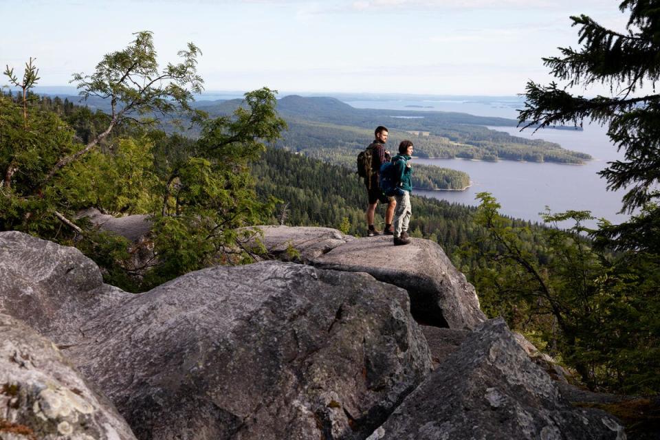 Hikers at Koli National Park in the Lakeland region.