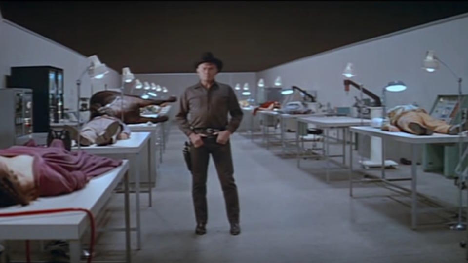 Westworld (1973)