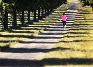 <p>A woman runs through an alley of trees in Frankfurt, Germany, Aug. 26, 2016. (Photo: Michael Probst/AP) </p>