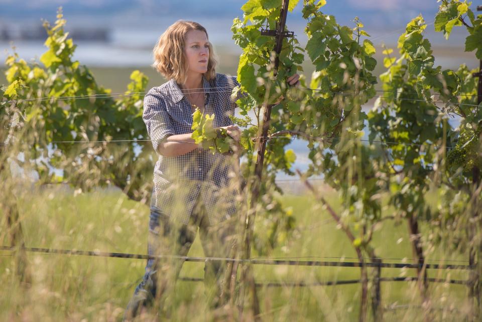 Photo of a woman with short blond hair in a vineyard tending to a large green grapevine.