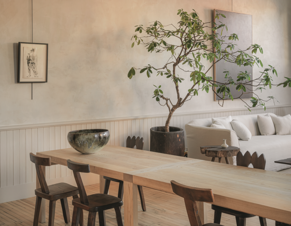 A minimalist dining room with a wooden dining table and a tree in a planter