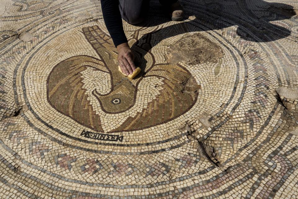 An Israeli preservative Shmulik Freireich, from the Israel Antiquities Authority, shows a mosaic depicting an eagle in an ancient church that was recently uncovered in Beit Shemesh, near Jerusalem. Wednesday, Oct. 23, 2019. Israeli archaeologists have revealed an elaborately decorated Byzantine church dedicated to an anonymous martyr that was recently uncovered near Jerusalem. The Israel Antiquities Authority showcased some of the finds from the nearly 1,500-year-old structure on Wednesday after three years of excavations. (AP Photo/Tsafrir Abayov)